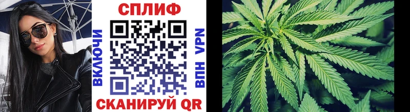 Купить где  Андреаполь  Канабис план 